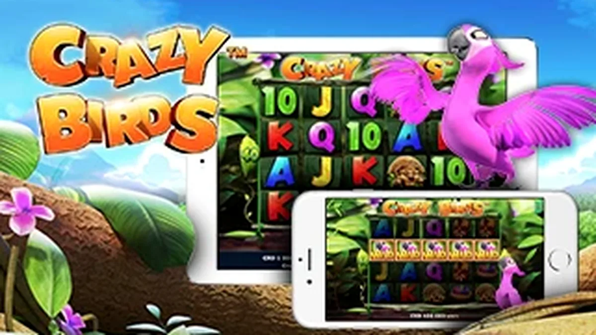 Ang makulay na tema ng Crazy Birds slot na nagtatampok sa mga karakter na sina Potty, Rocky, at Loopy sa isang tropikal na isla.
